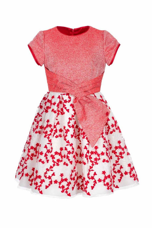 ValMax dress in embroidered tulle